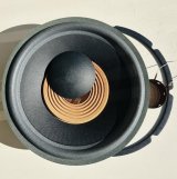 EV(エレクトロボイス) EVI12